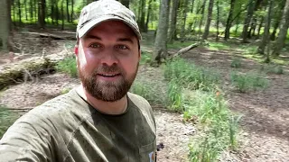 Planting Native Wildflower Plugs