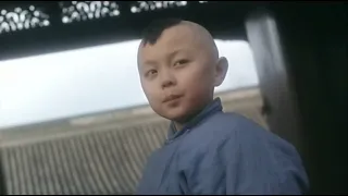The New Legend Of Shaolin - kids' fight