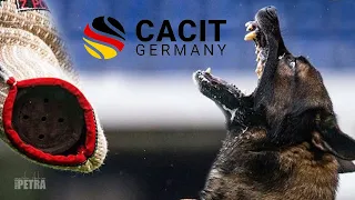 Trailer CACIT Germany 2023