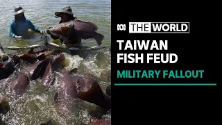 Taiwanese fish farmers feel impact of Chinese trading ban | The World