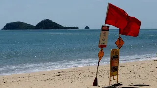 Swimming between the flags in decline on Australian beaches