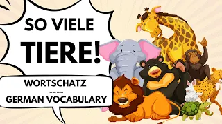 So viele Tiere - Deutsch lernen mit Musik Wortschatz | Learn German with music animals vocabulary