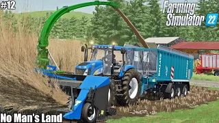 Harvesting poplar WOODCHIPS, making HAY and buying SHEEPS│No Man's Land│FS 22│Timelapse 12