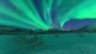 UNDER THE NORTHERN LIGHTS  -  AURORA BOREALIS REALTIME, TROMSØ NORWAY