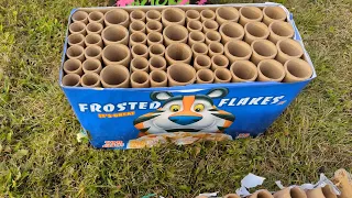 Frosted Flakes 🐅 56shot Firework ~4k 60fps~