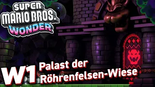 Palast der Röhrenfelsen-Wiese - Welt 1 | 100% SUPER MARIO BROS. WONDER