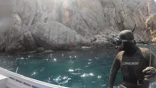 part #14 spearfishing at north of Morocco /  الصيد تحت الماء بشمال المغرب