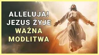 Modlitwa na Wielkanocny Poniedziałek - Alleluja! Jezus Żyje
