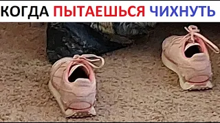 Лютые приколы Когда пытаешься чихнуть...