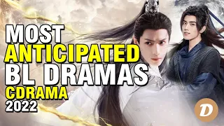 Top 10 Most Anticipated Upcoming Chinese BL Dramas Of 2022
