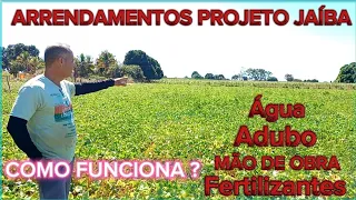 ELE ARRENDOU 2.5 HECTARES PARA UM PRODUTOR NO PROJETO JAÍBA