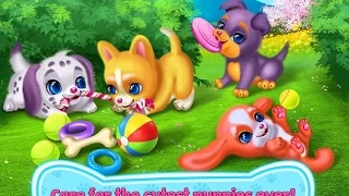 Puppy Love My Dream Pet Android İos Coco Free Game GAMEPLAY VİDEO