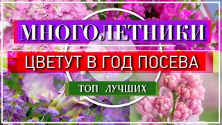 ❗ 🌹 Посейте эти ЦВЕТЫ в Марте на рассаду 🌹 Они будут ЦВЕСТИ уже Летом 💕👍