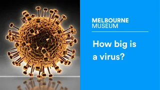 How big is a virus?