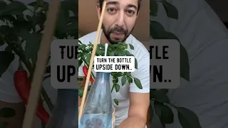 How to Make a Homemade Self-Watering Bottle for Plants | creative explained