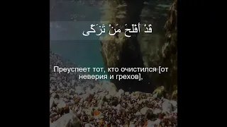 Коран сура Аль Ала  | 87:14 | Чтение Корана с русским переводом | Quran Translation in Russian