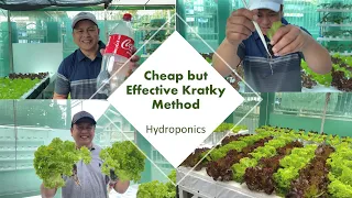 Hydroponics/Kratky Method Using Soda Bottle (with english subtitle) | Nars Adriano