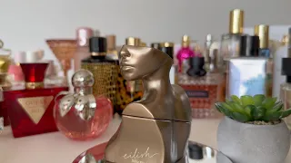 Люксовая парфюмерная коллекция 2023 | Обновление | Loewe, Zara, YSL, Armani, Maison Margiela, Gucci