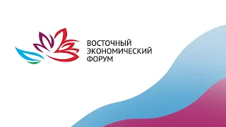 Инвестиционная привлекательность и новые проекты. Восточный экономический форум во Владивостоке