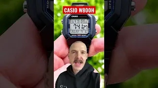 Casio W800H - Top 3 Features 🎩 Large Display, Constant Time, Granular Alarm #casio #W800H #budget