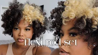 HOW TO: My Updated Flexi Rod Set on DRY Natural Hair (Step by Step) + Wash Day | Naturally Sunny