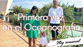 Visitamos el Oceanografic 🐠🐬, me vuelvo a vestir de novia 👰🏻‍♀️ +. mis padres están aquí 🏖