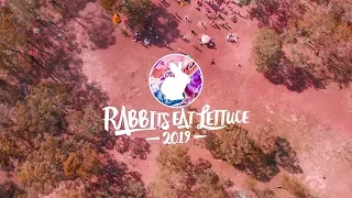 Rabbits Eats Lettuce 2019 - After Movie // 43 Creativ