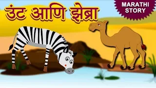 उंट आणि झेब्रा - Marathi Ghosti | Marathi Story for Kids | Marathi Fairy Tales | Koo Koo TV