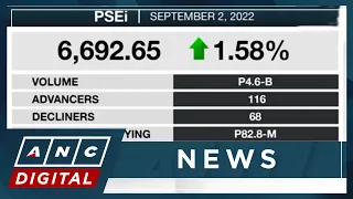 Analyst: 'Be patient' with the PSE | ANC