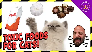 FOODS THAT ARE TOXIC TO CATS!
