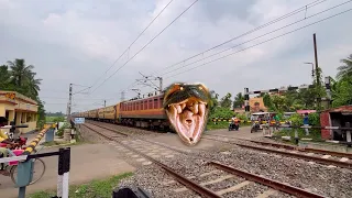 Dangerous Anaconda Headed Trains Angry Sound Aggression Passing Throughout Railgate
