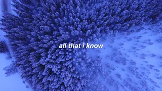 AURORA | All Is Soft Inside [lyrics]