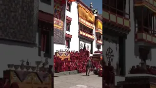 Ladakh: Y20 delegates visit Hemis Monastery in Leh, witness lively Cham dance