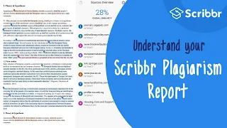 The Scribbr Plagiarism Report Explained | Scribbr 🎓