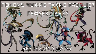 WHY THE DNA REFLEX THEORY IS CRAP? (ENGLISH SUBS)