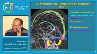 МРТ в диагностике аномалий и патологических изменений сосудов головного мозга и шеи