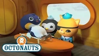 Octonauts - Emperor Penguin | Sea Creature Encounter | Cartoons for Kids | Underwater Sea Education