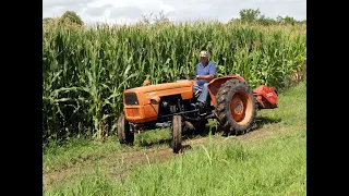 Vecchi trattori che lavorano ancora in zona Friuli