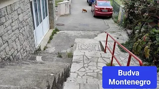 Narrow streets of Budva, picturesque steps, cozy places of Budva,🇲🇪 Montenegro