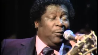 BB King - 03 Better Not Look Down [Live At Nick's 1983] HD