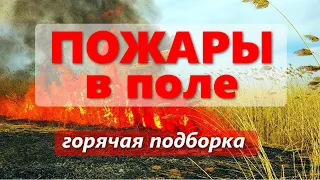 Пожары в поле. Горит трактор, комбайн