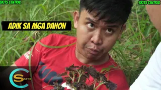 Adik ug Dahon