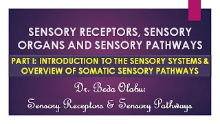 INTRODUCTION TO THE SENSORY RECEPTORS & OVERVIEW OF SOMATIC SENSORY PATHWAYS