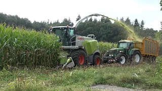 Mais hakselen met Claas Jaguar 940 en Fendt trekkers door loonbedrijf Fa Fokkert (2023)