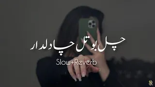 Chal Botal Cha Dildar Slow Reverb new Song Lofi Remix #slow_reverb Sariaki Song