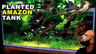 Aquascape Tutorial: EPIC 4ft Amazon Aquarium / Planted Tank (how to guide | NO co2 | diy lighting)