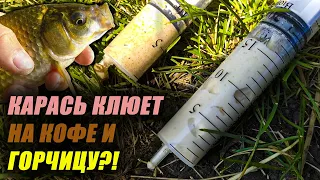 КАРАСЬ СХОДИТ С УМА от запаха КОФЕ и ГОРЧИЦЫ?! Сделал 2 БОЛТУШКИ, и СРАВНИЛ их на РЫБАЛКЕ