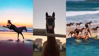 Horse TikToks That Went Viral! #16