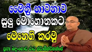 මෛත්‍රී භාවනාව සුලු මොහොතකට මෙනෙහි කරන්න. පූජ්‍ය බලංගොඩ රාධ ස්වාමීන්වහන්සේ.