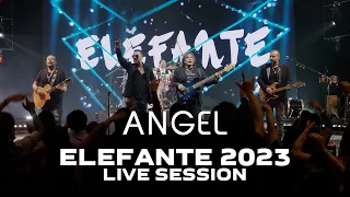 Angel ELEFANTE 2023 (Live Session)